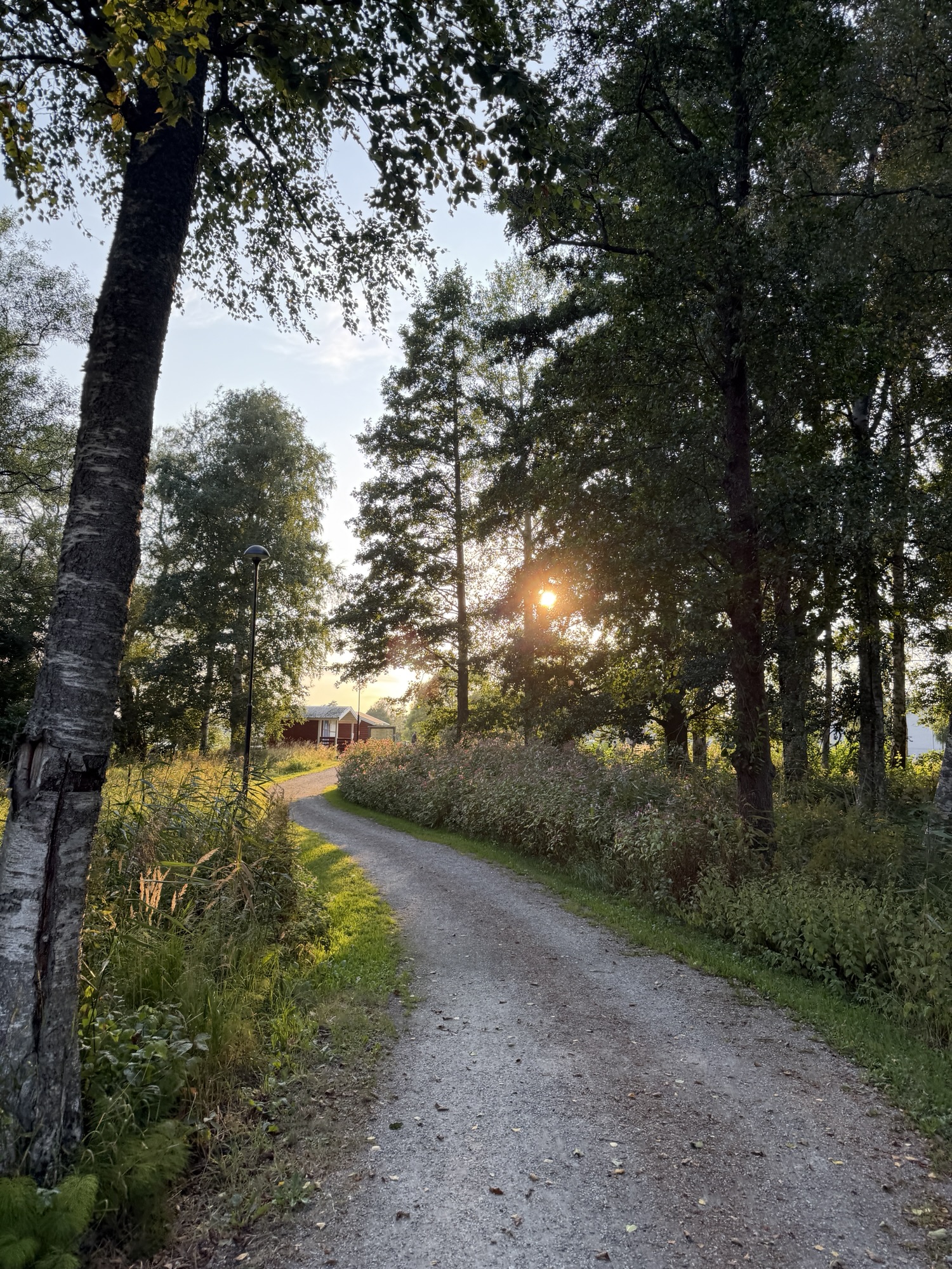 August 15 – From the fjords to family