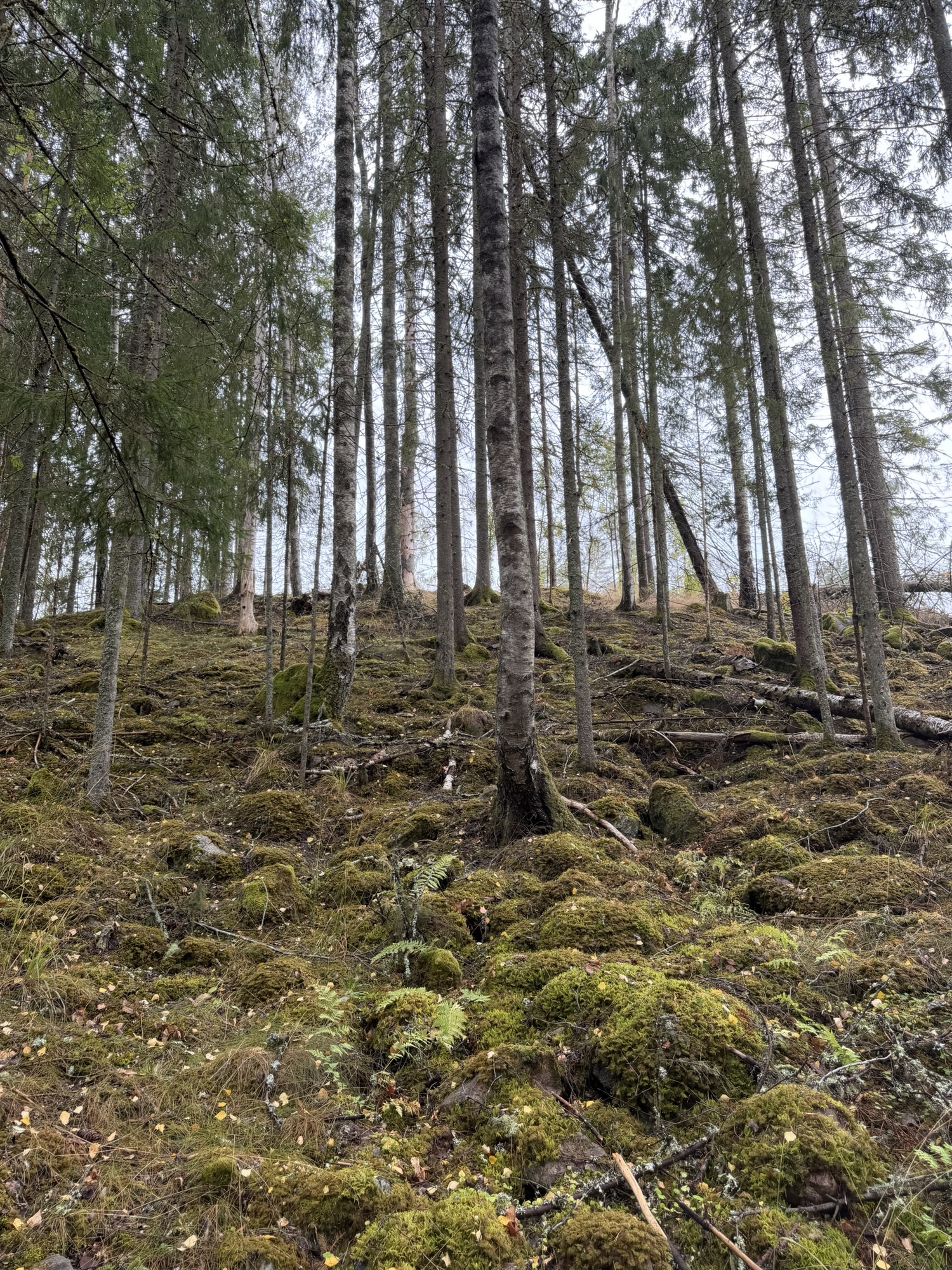 August 29 – Baking, biking and being a woodland animal